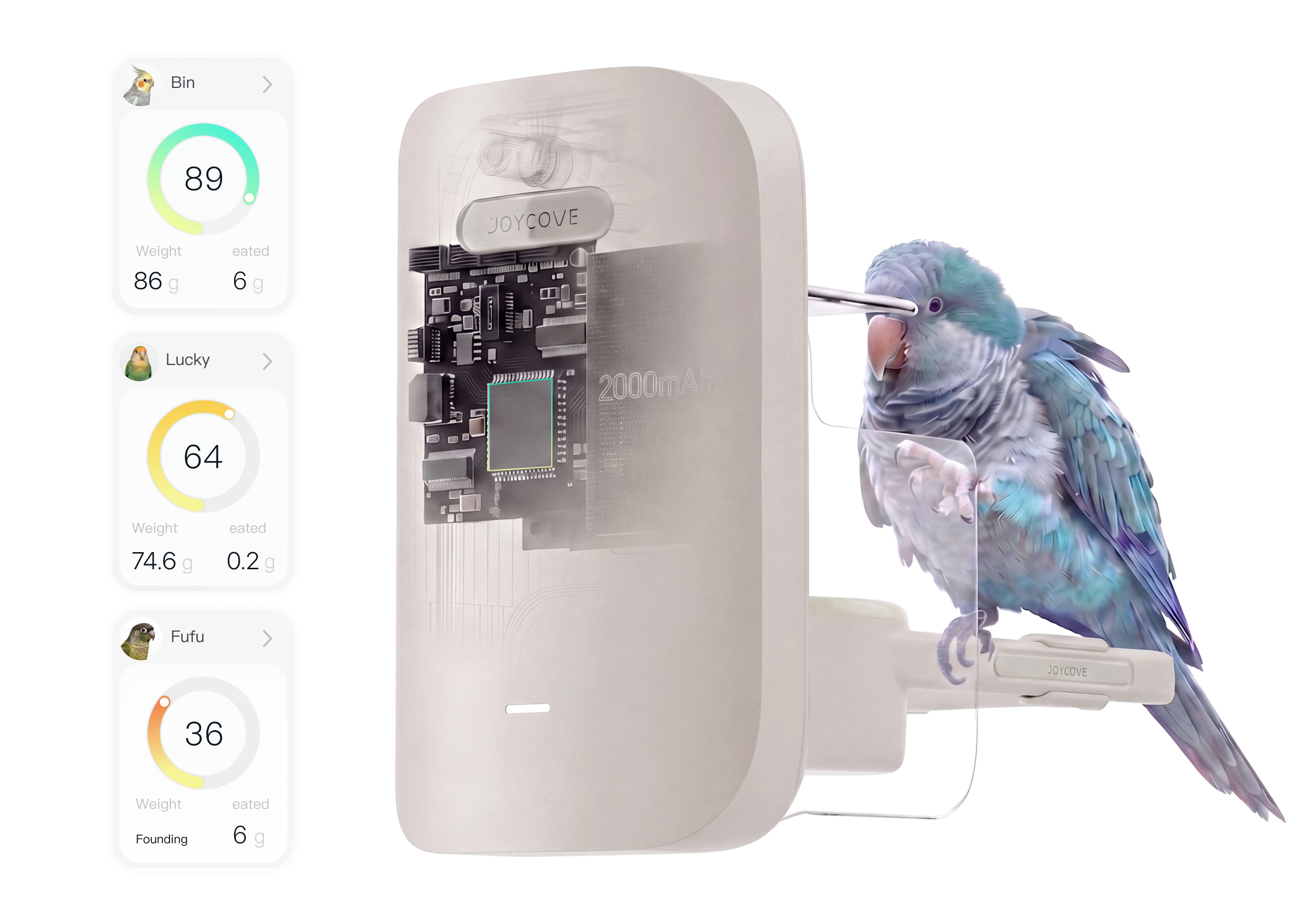 AI recognition algorithm preview