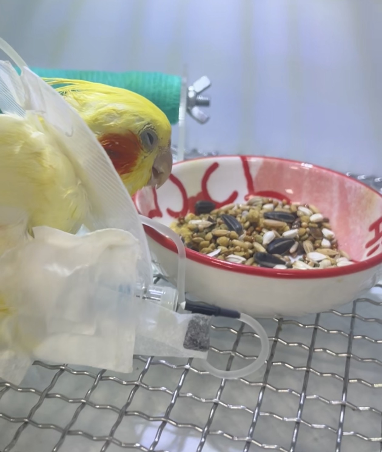 Lucky during treatment